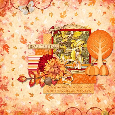 Beauty Of Fall - Autumn Leaves