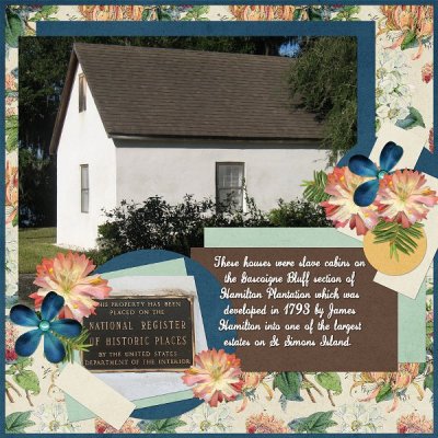 forpostingHamiltonPlantationSlaveHouses