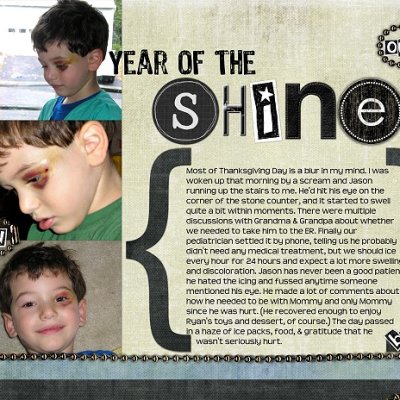 Year of the Shiner