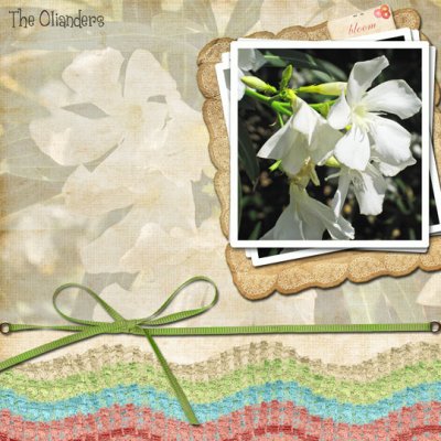 The Olianders