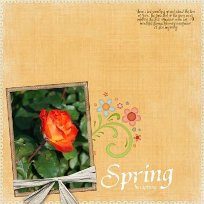 Spring Rose 2008