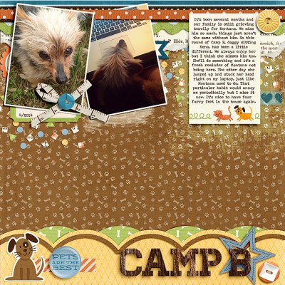 camp b