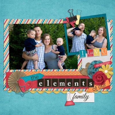 Elements of Family