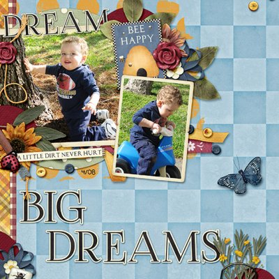 Dream Big Dreams