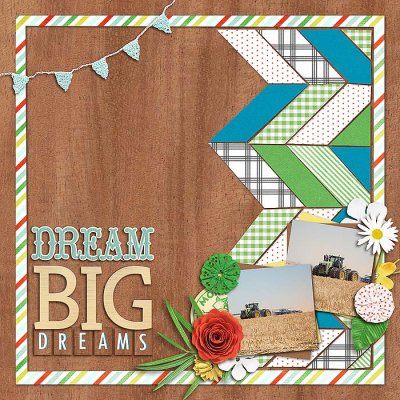 Dream Big Dreams (right)