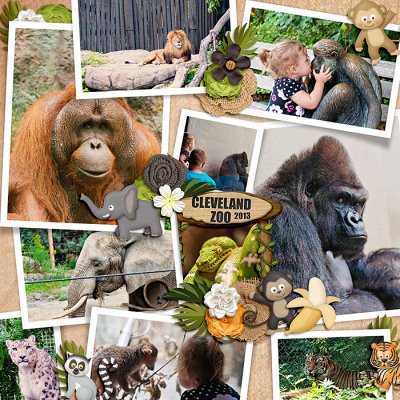 Zoo