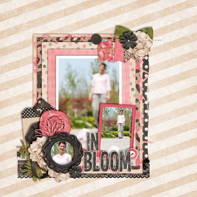 In Bloom