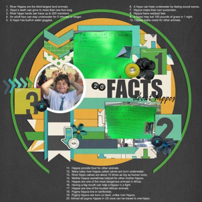 20 Facts about Hippos