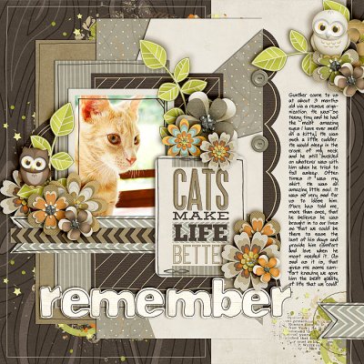 Remember