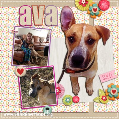 Ava