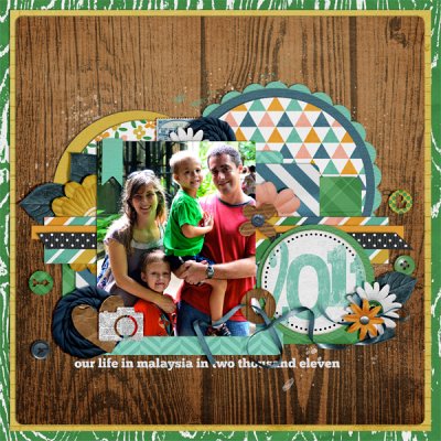 2011 Cover Page
