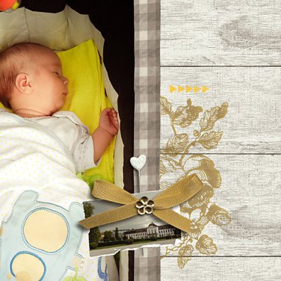 Sleeping baby LEFT