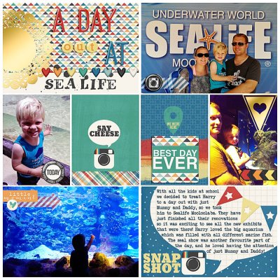 A Day at Sealife