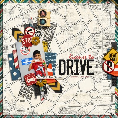 License-to-drive1