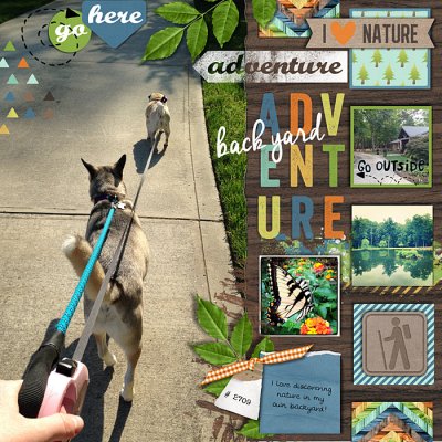 Backyard adventure