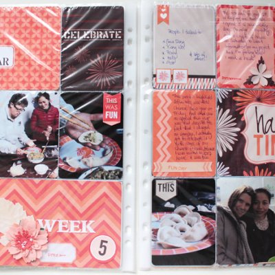 Project life - Week 5
