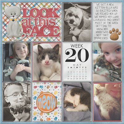 Project Life 2014 Week 20 Left