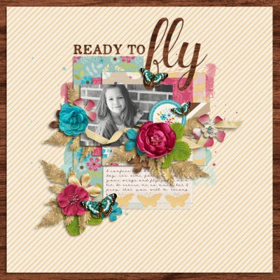 ready to fly
