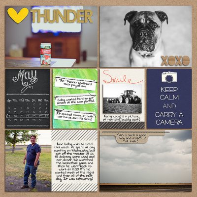 Project 2014: Week 21 (left)