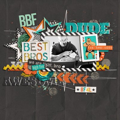The Bro Code