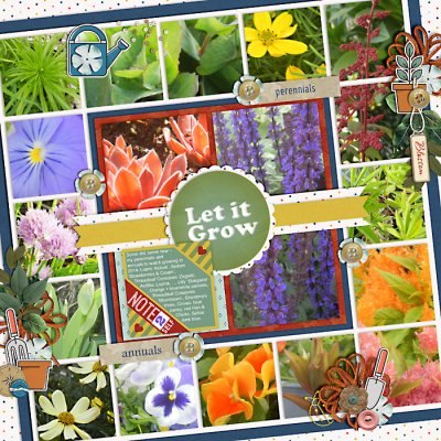 Annuals and Perennials 2014
