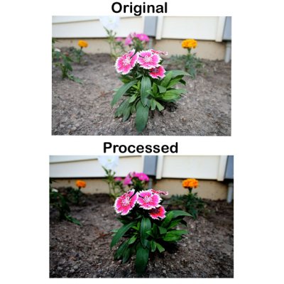 Comparison - shutterbug shakedown