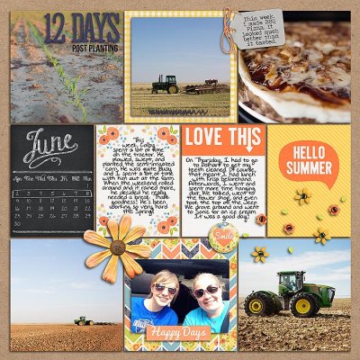 Project 2014: Week 23 (left)