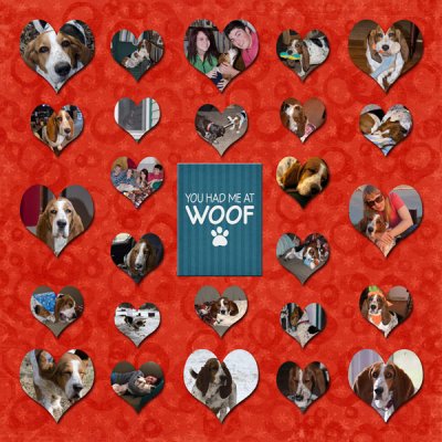 Love at First Woof