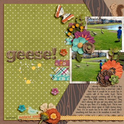 geese