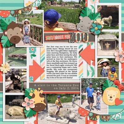 A Day at the Zoo