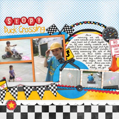 2014-06-30_StopDuckCrossingP