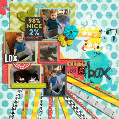 Kitty in a Box