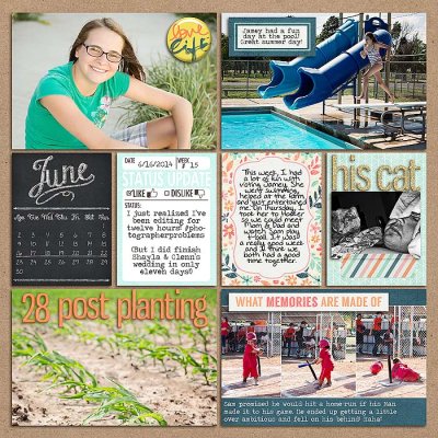 Project 2014- Week 25 (left)