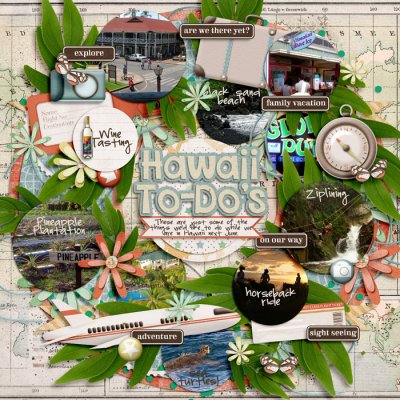 Hawaii To-Do's