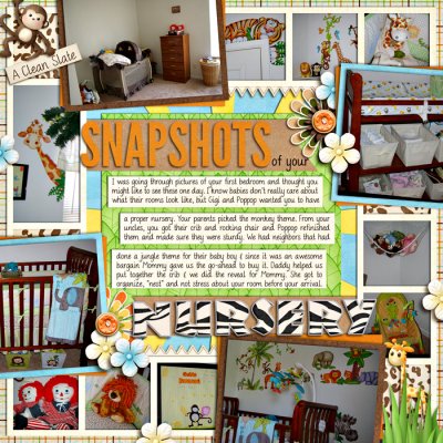 Snapshots of Your Nursery
