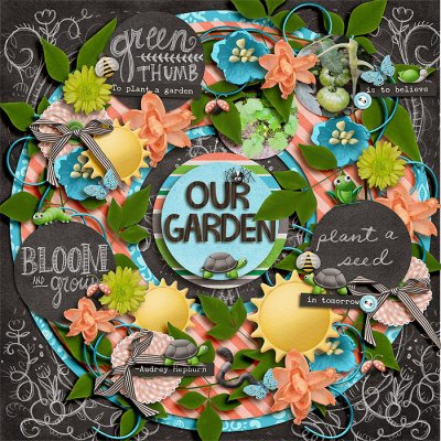 Our Garden