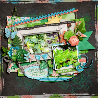 LO312 - Seeding and Wedding Kit