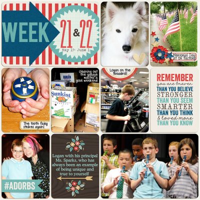 PL 2013- Week 21-22b