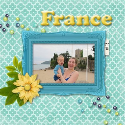 France 2013