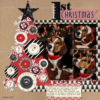 Puppy's 1st Christmas