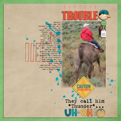 Thunder the horse