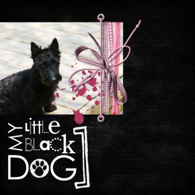 Little Black Dog