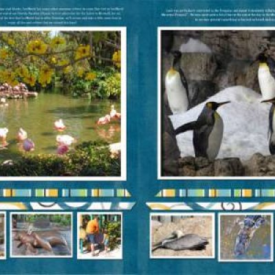 Cool Critters at SeaWorld