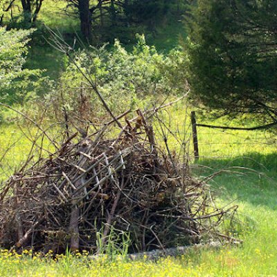 Our Burn Pile