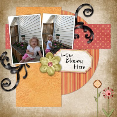 Love Blooms HEre