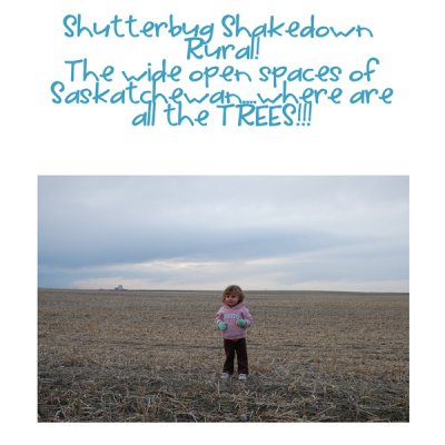 Shutterbug_11