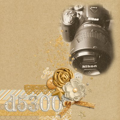 D5300