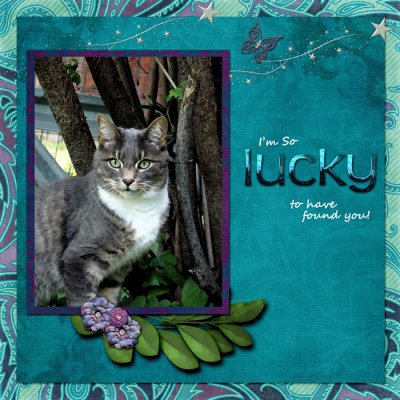 Lucky to have found you