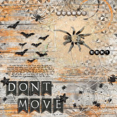 Don't Move