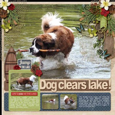 Dog clears lake!